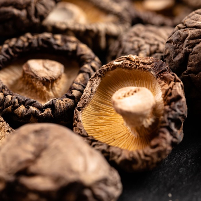 Champignons noirs séchés (Gamme asiatique) - Maison Borde