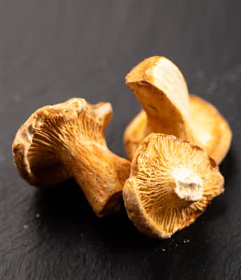 Freeze-dried mushrooms